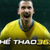 Thể thao 365