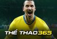 Thể thao 365