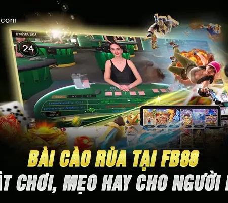 Bài Cào Rùa Tại FB88 – Luật Chơi, Mẹo Hay Cho Người Mới