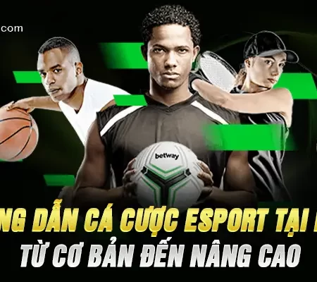 Hướng Dẫn Cá Cược Esport Tại Fb88 – Từ Cơ Bản Đến Chuyên Sâu