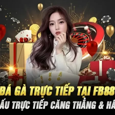Đá Gà Cựa Sắt Tại FB88 – Top Sân Đấu Trực Tiếp Căng Thẳng & Hấp Dẫn 2026